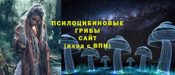 мяу мяу мука Арсеньев