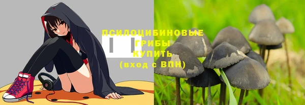 2c-b Аркадак