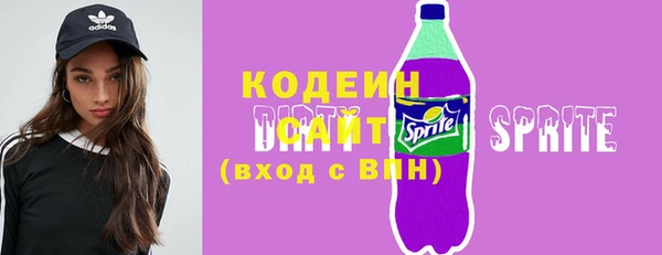 СК Няндома