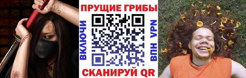 Галлюциногенные грибы Psilocybine cubensis  купить   гидра сайт  Артёмовск 